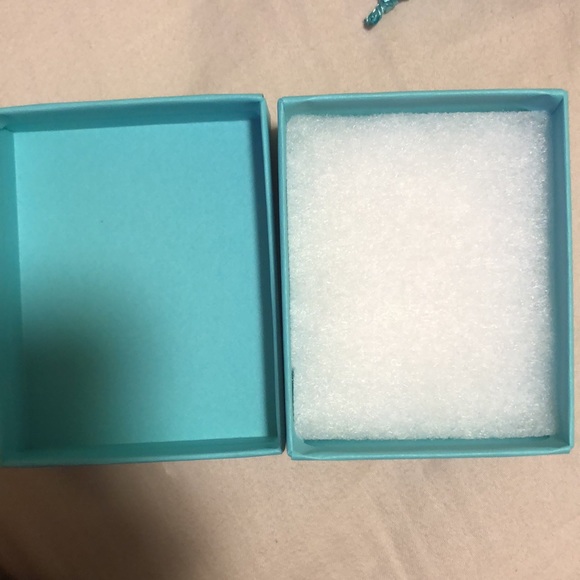 Tiffany y co. Bag and case - Picture 2 of 4